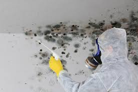 Best Real Estate Mold Inspection  in Rupert, ID